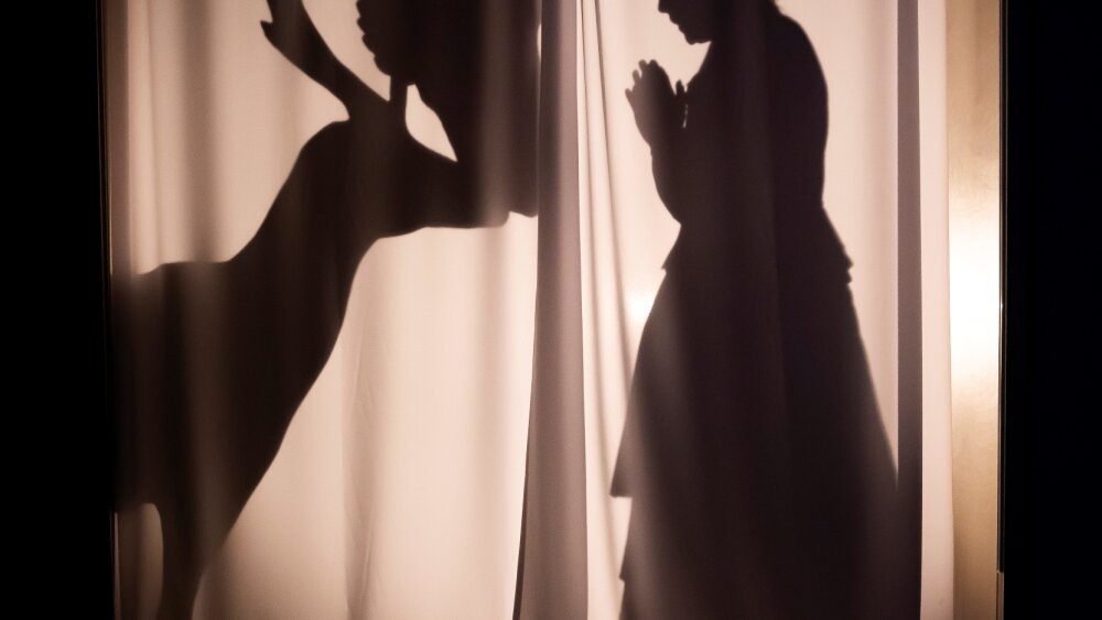 Obrázok v galérií - o%20palovi%20%2814%29.jpg