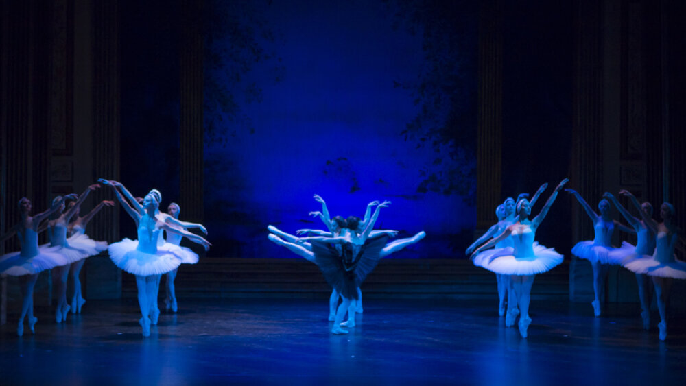 Obrázok v galérií - labutie06.jpg