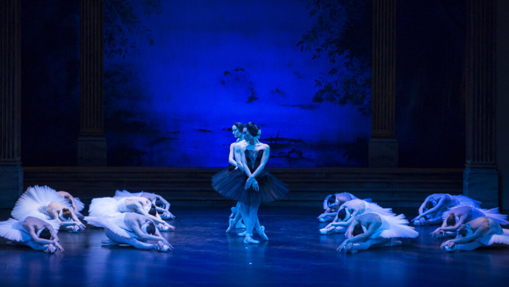 Obrázok v galérií - labutie07.jpg