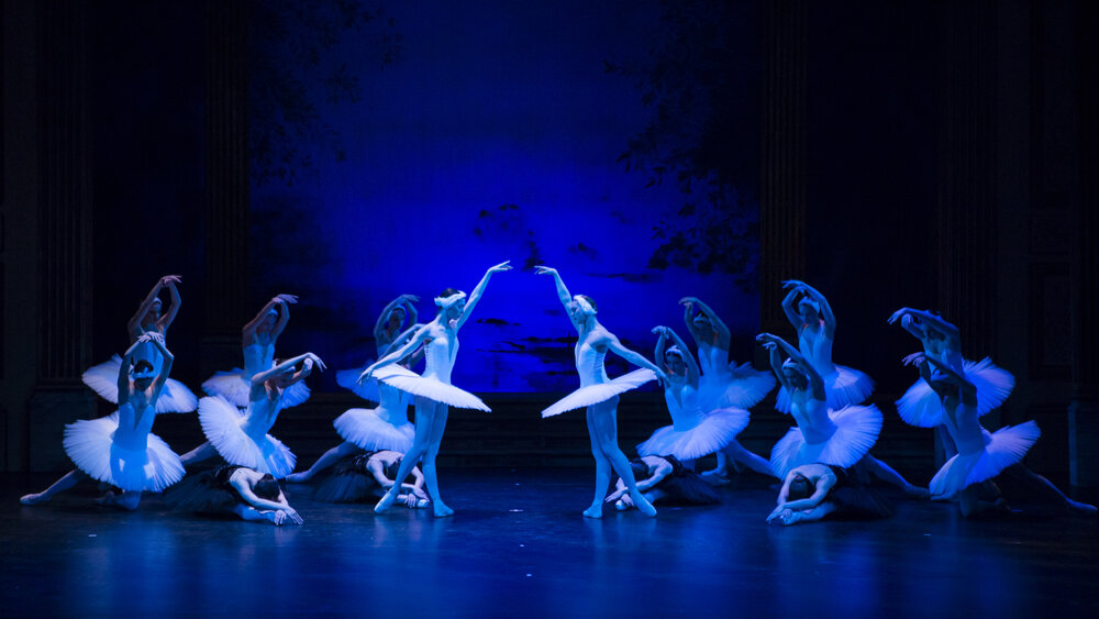 Obrázok v galérií - labutie08.jpg