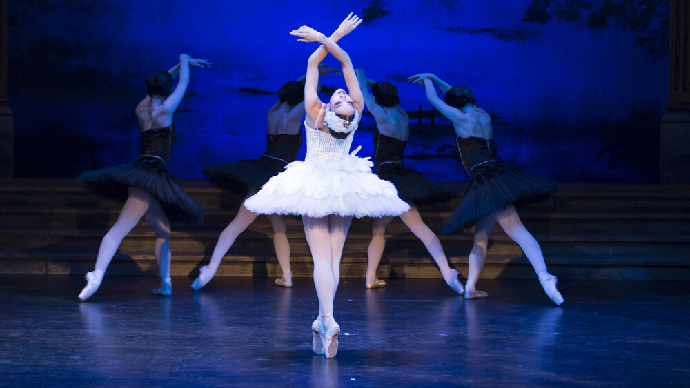 Obrázok v galérií - labutie09.jpg