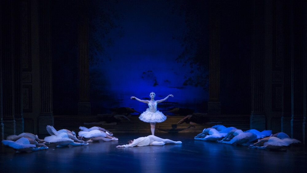 Obrázok v galérií - labutie10.jpg