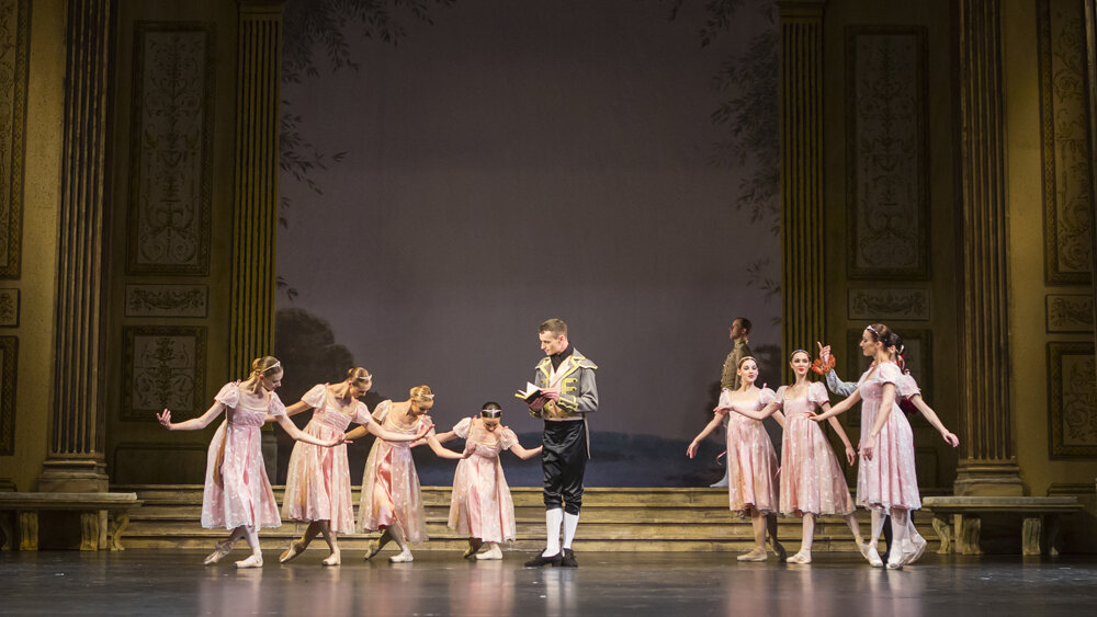 Obrázok v galérií - labutie11.jpg