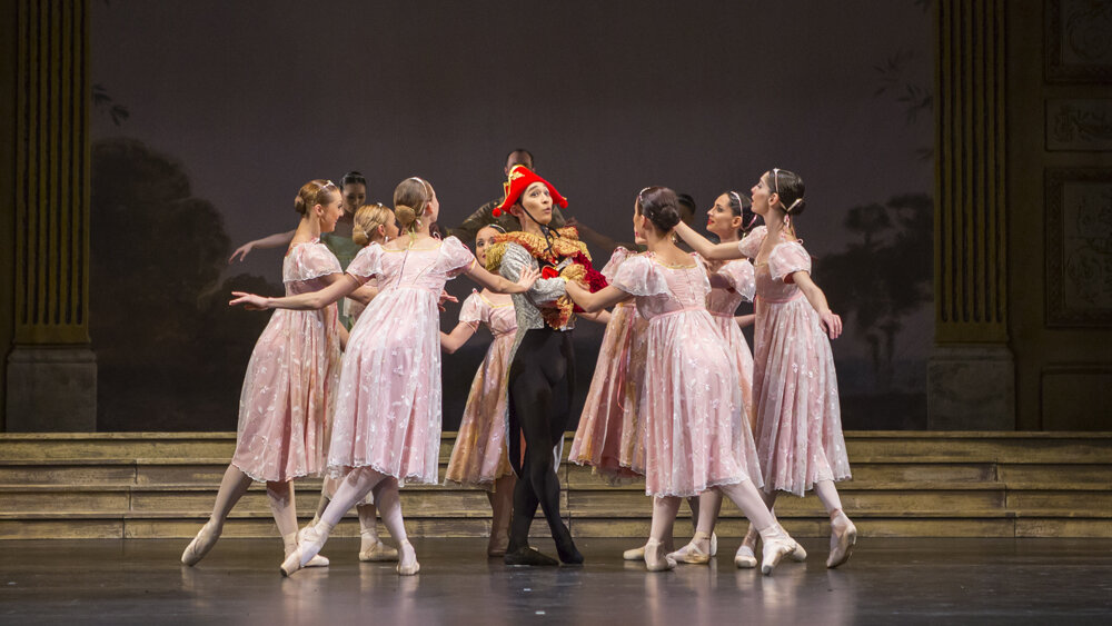 Obrázok v galérií - labutie12.jpg