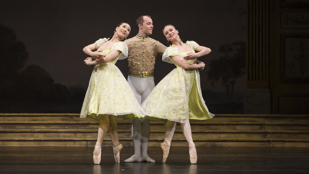 Obrázok v galérií - labutie13.jpg