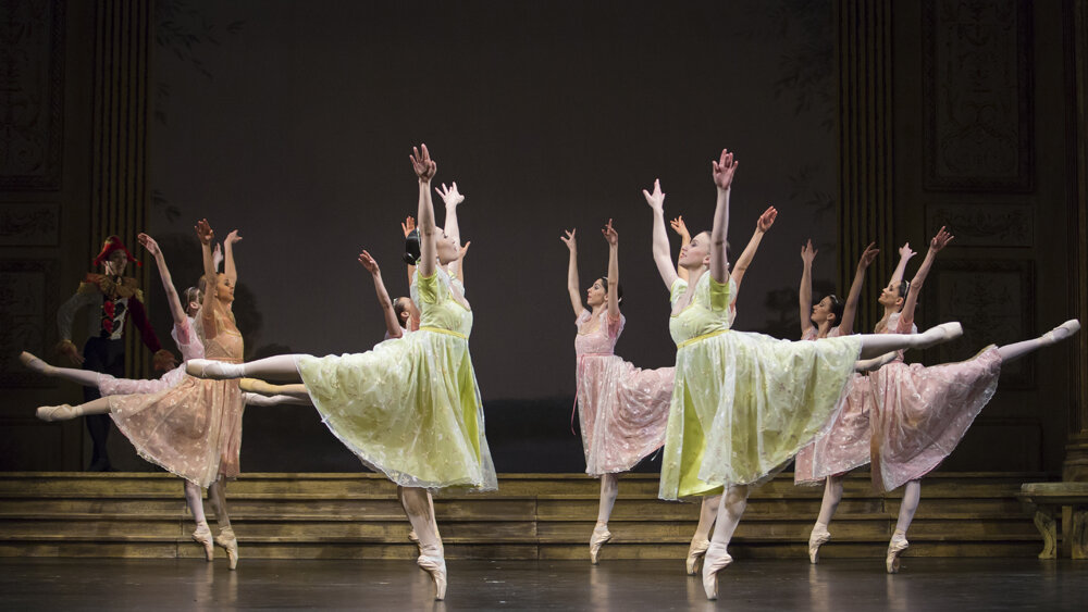 Obrázok v galérií - labutie14.jpg