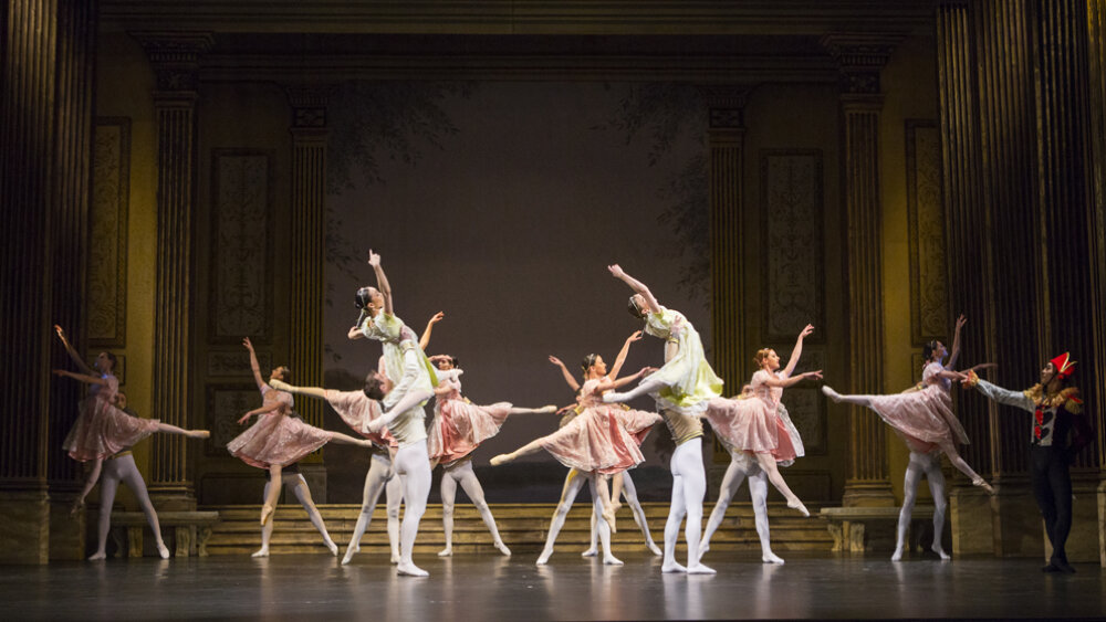 Obrázok v galérií - labutie15.jpg