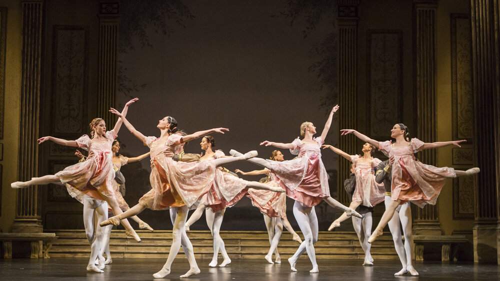 Obrázok v galérií - labutie16.jpg