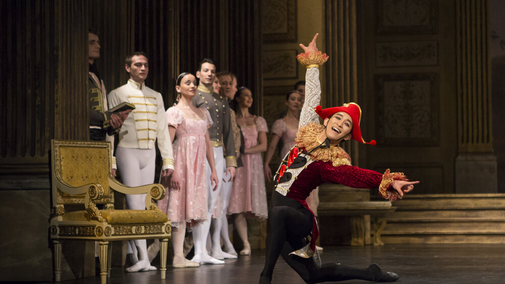 Obrázok v galérií - labutie17.jpg