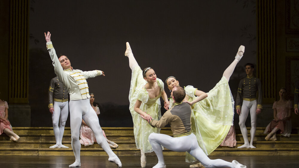 Obrázok v galérií - labutie18.jpg