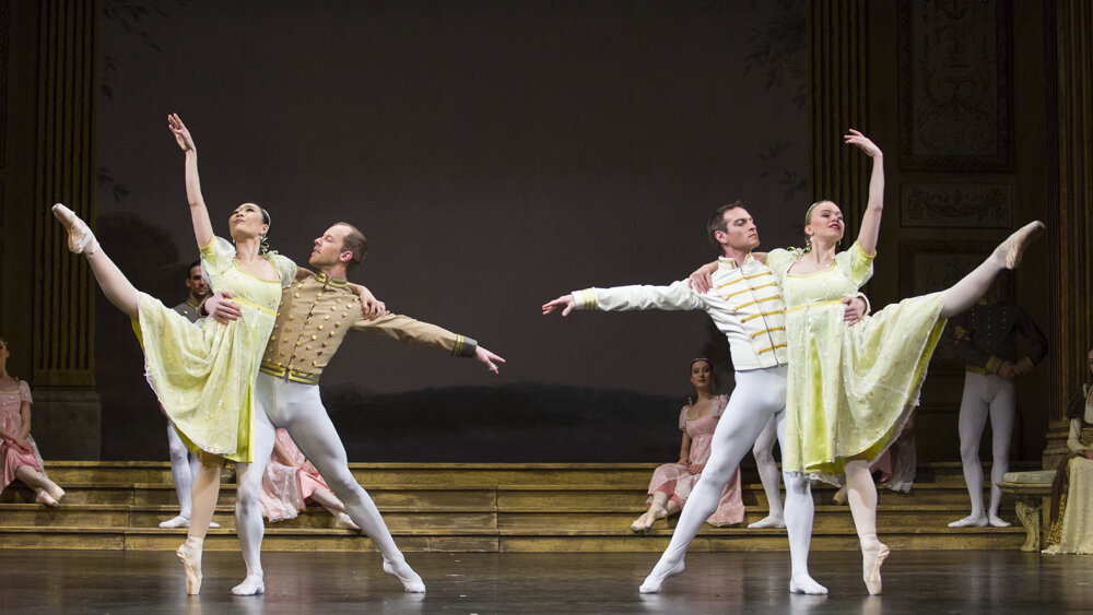 Obrázok v galérií - labutie19.jpg