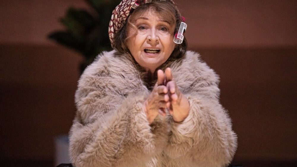 Obrázok v galérií - emilia_vasaryova_ucastnicka_starnutia.jpg