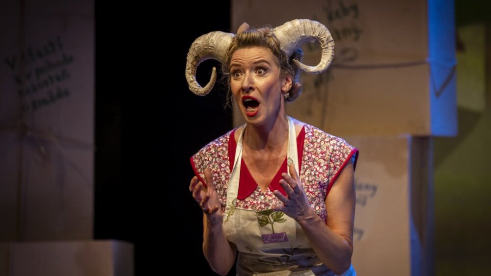 Obrázok v galérií - 2023-10-29_muflon_ancias_k_premiere_11.jpg