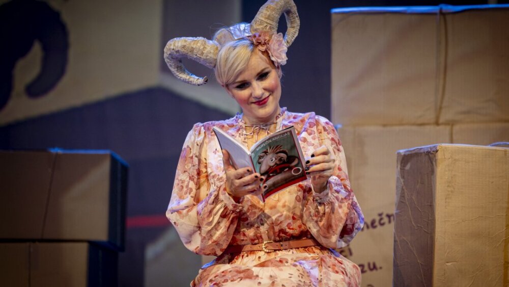 Obrázok v galérií - 2023-10-28_muflon_ancias_1_alter_36_foto_zdenko_hanout.jpg