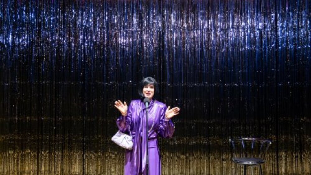 Obrázok v galérií - 1._zuzana_fialova_helene.jpg