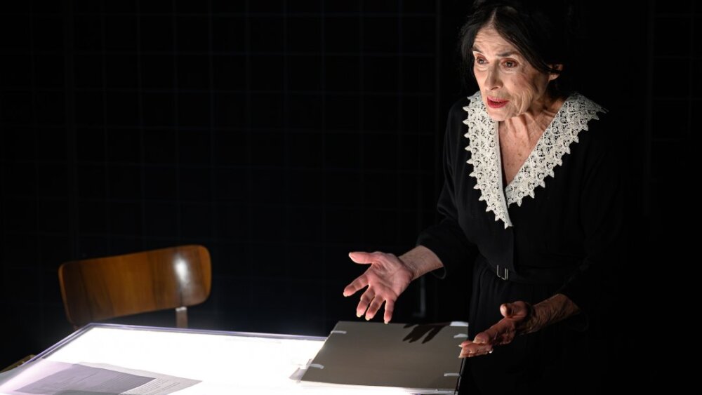 Obrázok v galérií - zuzana_kocurikova_anna_l.jpg