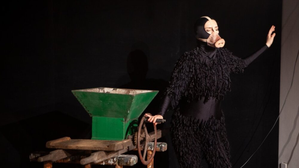 Obrázok v galérií - olena_lysenko_svina.jpg