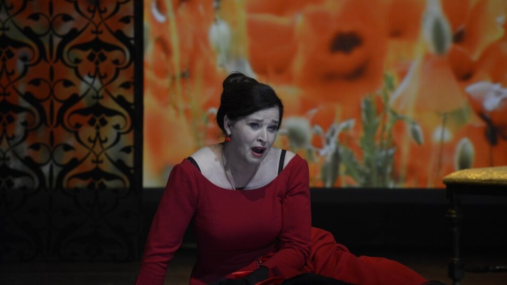 Obrázok v galérií - _dsc3954.jpg