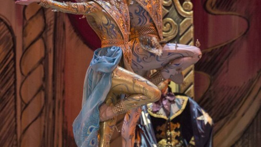 Obrázok v galérií - viola_mariner_martin_kreml_orient_0.jpg