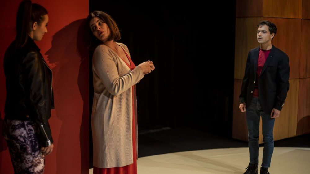 Obrázok v galérií - anezka_petrova_dievca_zuzana_fialova_matka_david_hartl_syn.jpg