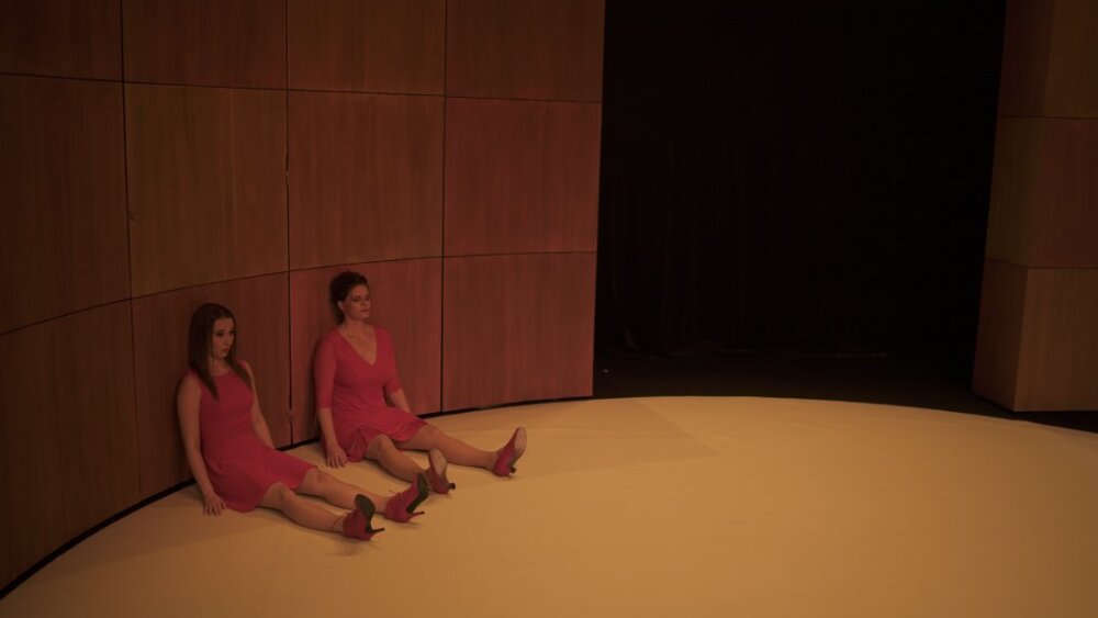 Obrázok v galérií - anezka_petrova_dievca_zuzana_fialova_matka.jpg