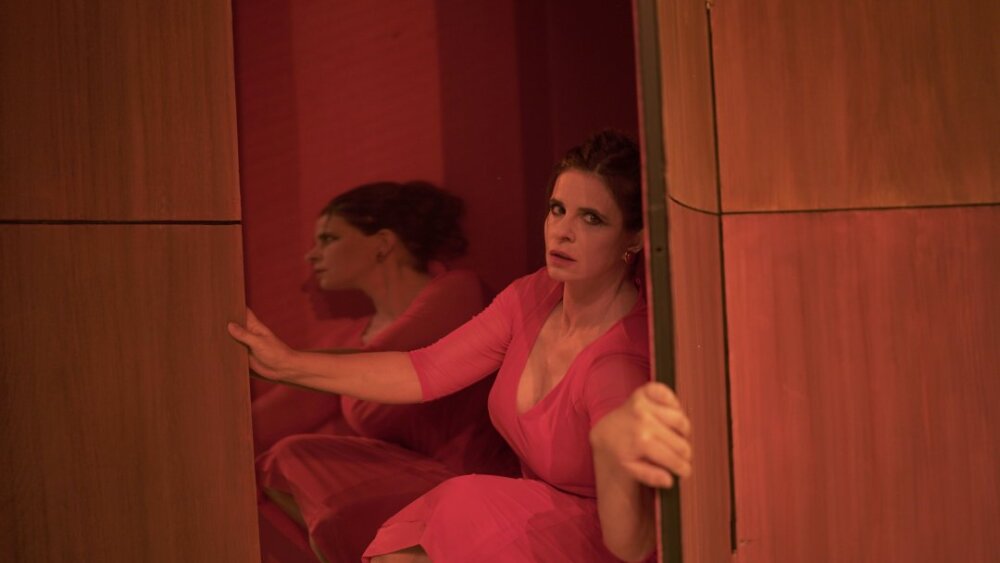 Obrázok v galérií - zuzana_fialova_matka.jpg