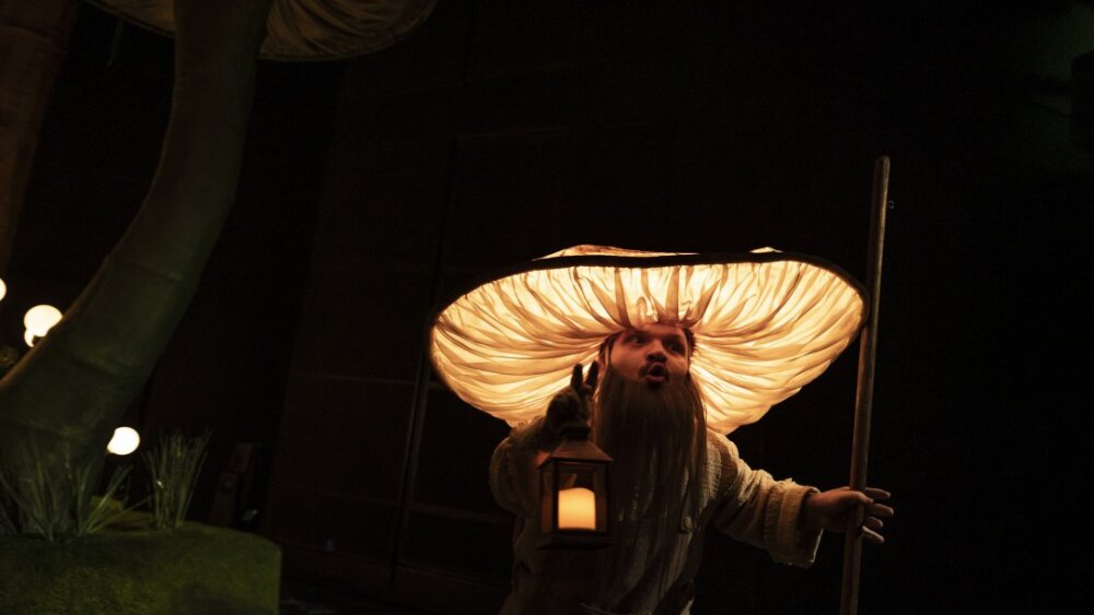 Obrázok v galérií - michal_noga.jpg