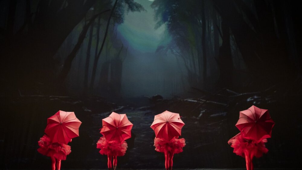 Obrázok v galérií - pch.jpg