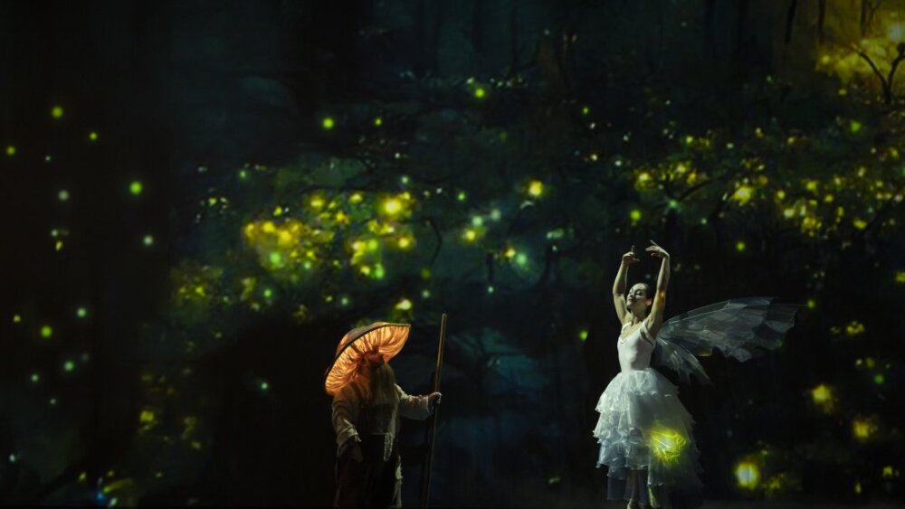 Obrázok v galérií - dsc_5877pernik_chalup_podola.jpg