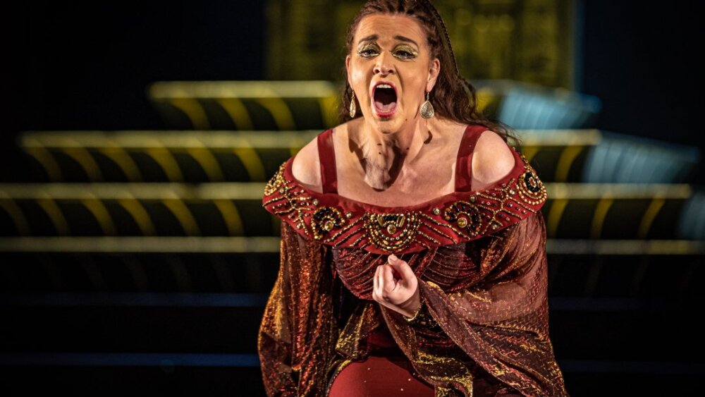 Obrázok v galérií - 1-maida_hundeling_aida_0.jpg