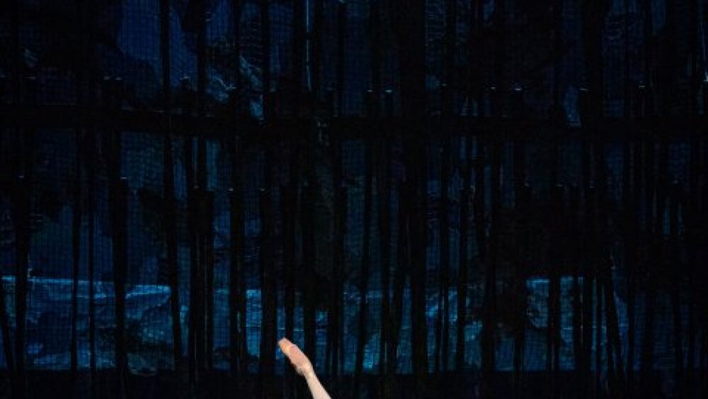 Obrázok v galérií - tatum_shoptaugh_manon_a_andrea_schifano_des_grieux_6.jpg