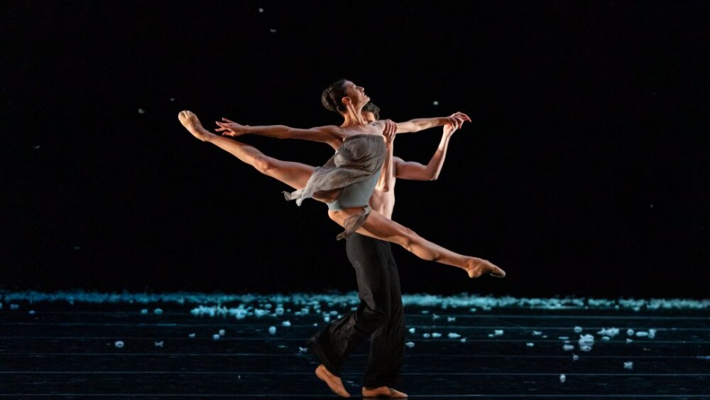 Obrázok v galérií - murmuration_ilinca_ducin_andrea_schifano_3.jpg