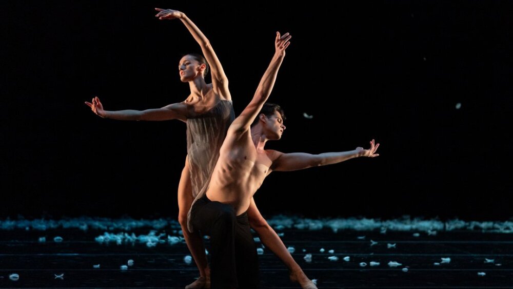 Obrázok v galérií - murmuration_ilinca_ducin_andrea_schifano.jpg