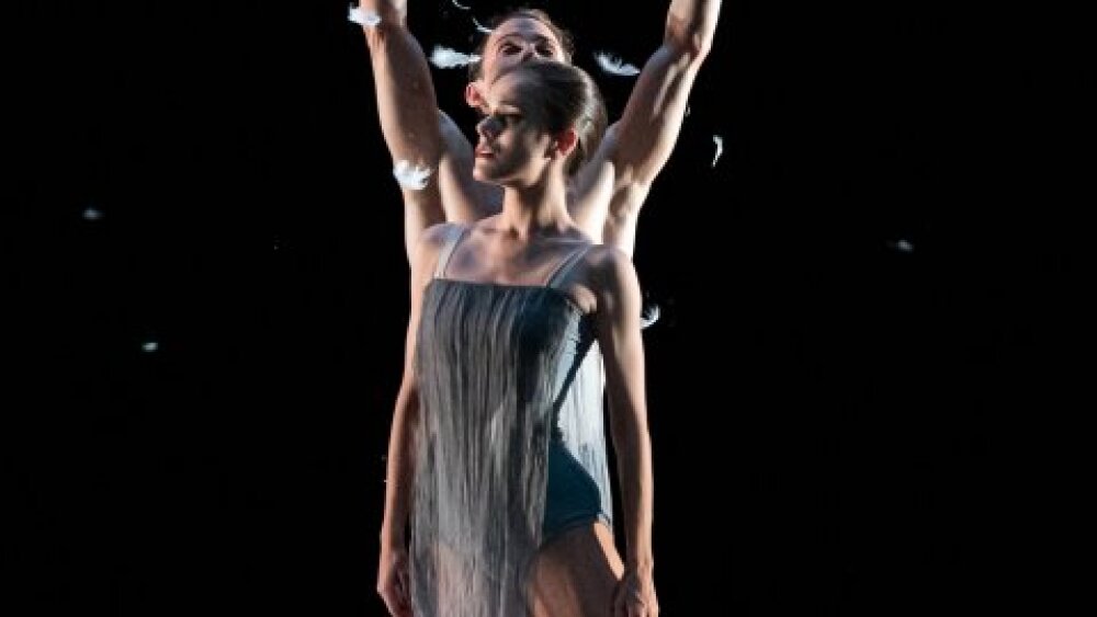 Obrázok v galérií - murmuration_juliana_ondrasikova_jean-michel_reuter.jpg