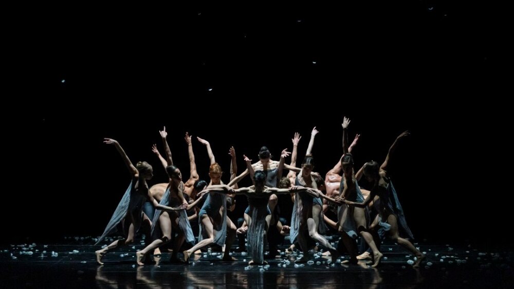 Obrázok v galérií - murmuration_0.jpg