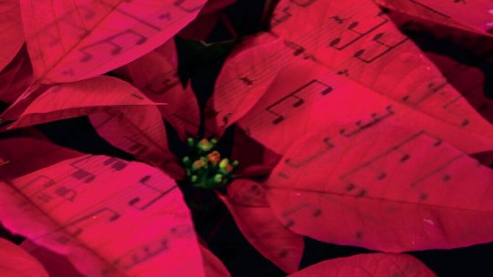 Obrázok v galérií - snd_vianocne_operne_studio_1200x1600_web_slider_sez106.jpg