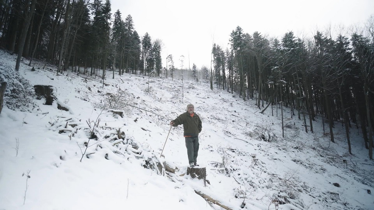 záber z filmu Hlas lesa