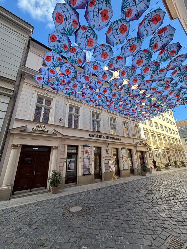 Dáždniky nad Galériou Nedbalka