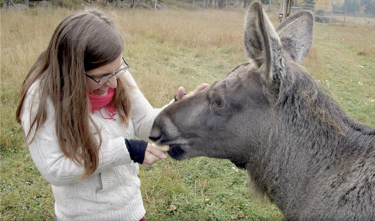 Hana Nováková vo filme Amoosed