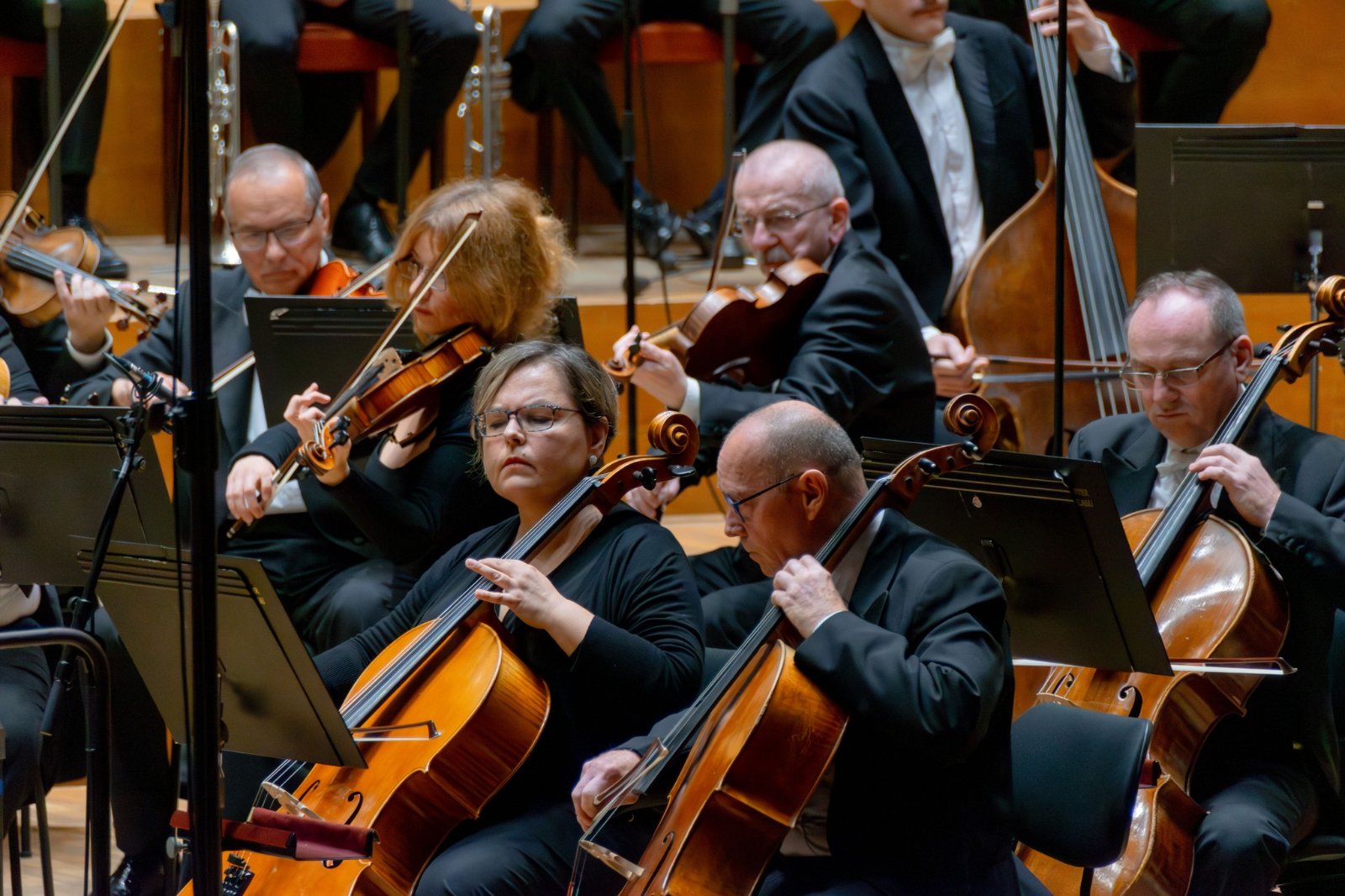 ilustračná foto, SOSR