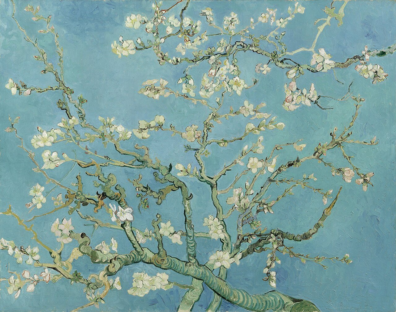 Kvitnúci mandľovník / Amandelbloesem / Almond Blossom